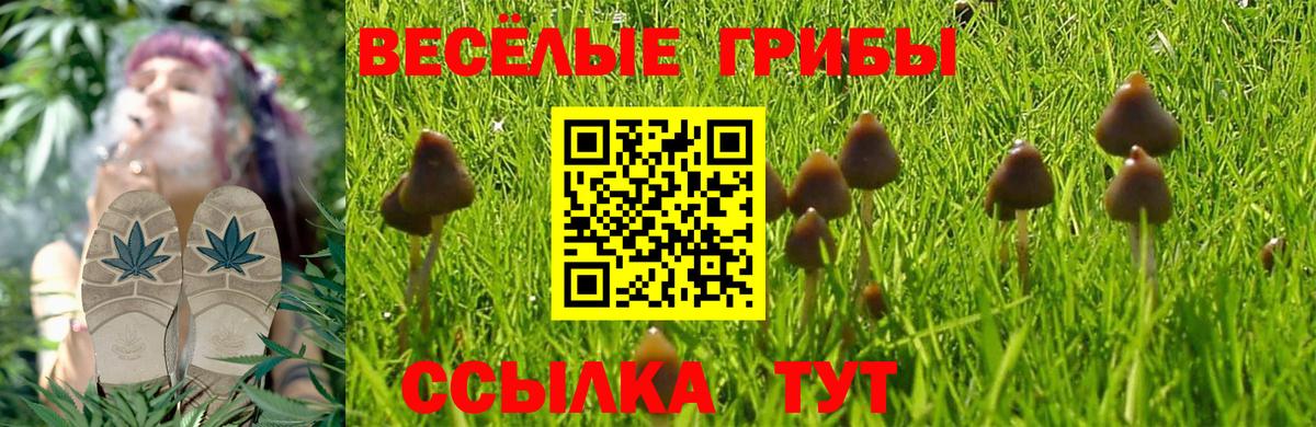 Псилоцибиновые грибы MAGIC MUSHROOMS Шелехов