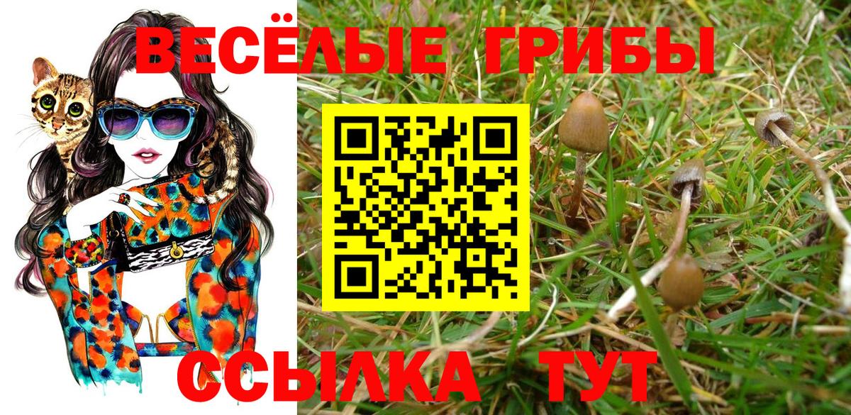 Галлюциногенные грибы GOLDEN TEACHER  Вход с VPN  сколько стоит  Шелехов 